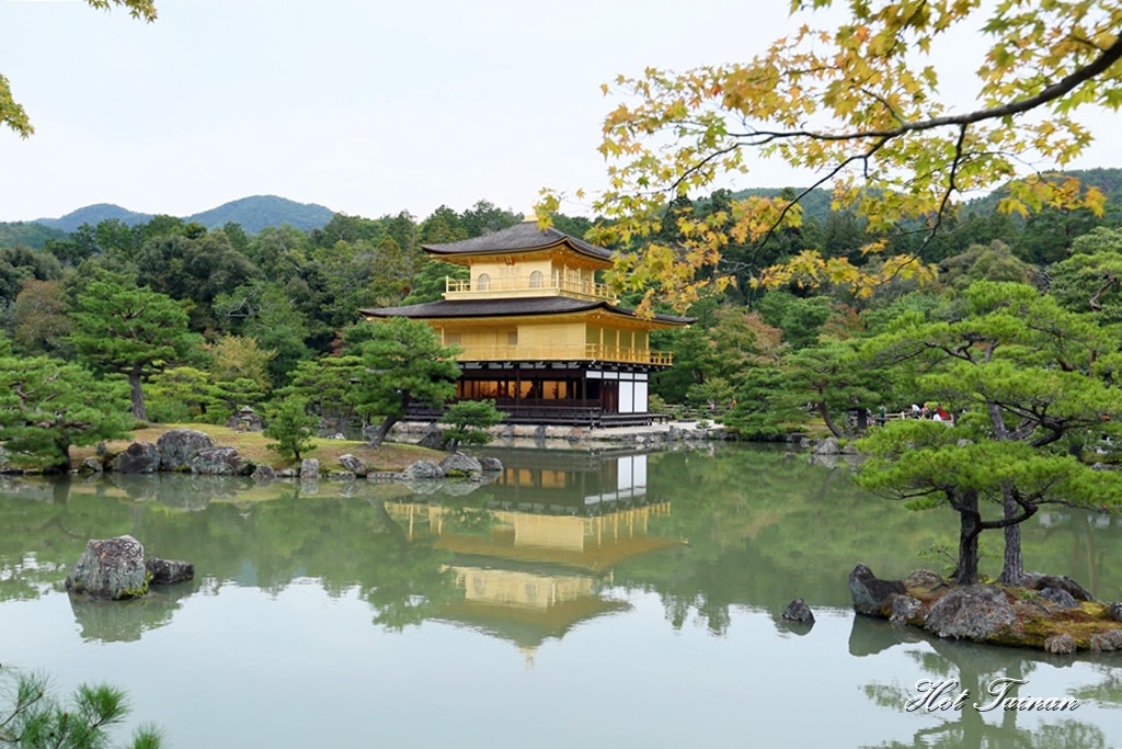 【日本旅遊】京都必遊景點！金光閃閃的世界文化遺產：金閣寺