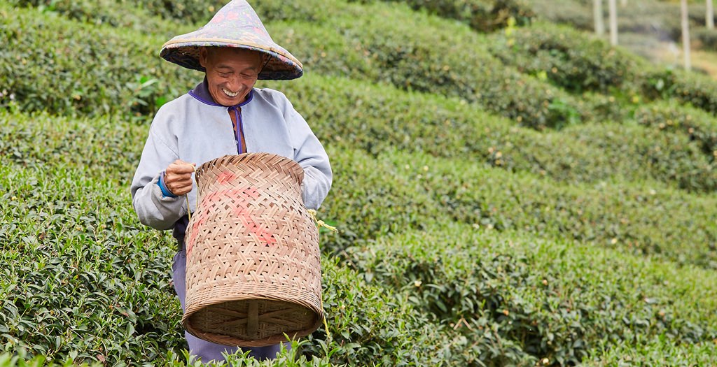 【宅配美食】百分之百台灣阿里山高山茶，台灣人的堅持與用心：華冠茶業