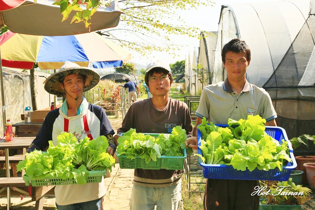 【台南公益】台南後壁無毒菜園，適合身心障礙者從事農作的就業場所：蓮心園庇護農藝工場