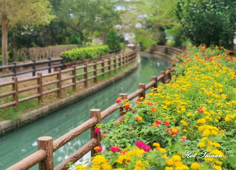 【台南景點】新化南圳綠堤公園：台南的萊茵河畔，九重葛紅花亭盛開中