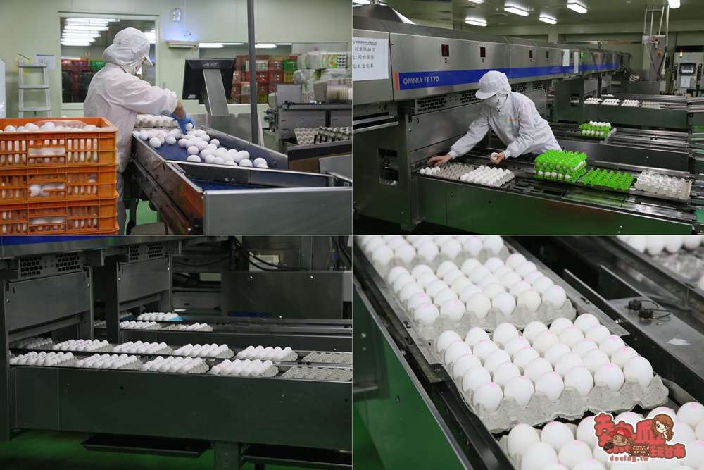 【嘉義景點】免門票雞蛋主題館，來這裡摸金雞蛋和浮誇版牛奶盒拍照啦：勤億蛋品夢工場
