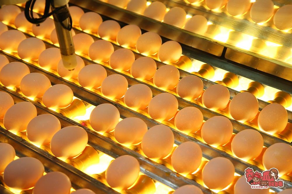 【嘉義景點】免門票雞蛋主題館，來這裡摸金雞蛋和浮誇版牛奶盒拍照啦：勤億蛋品夢工場
