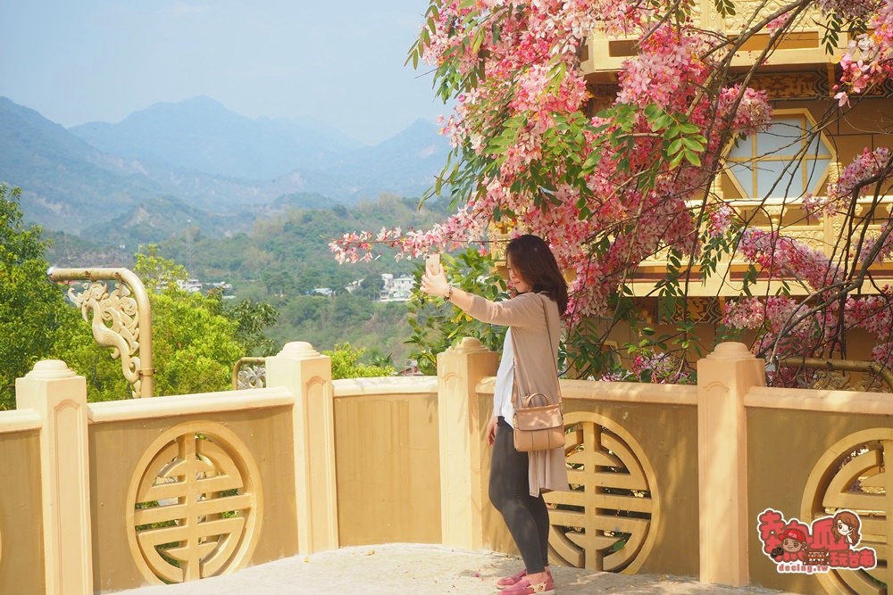 【台南景點】台南也有媲美日本的好風景，艷麗花旗木現正熱映中：寶光聖堂