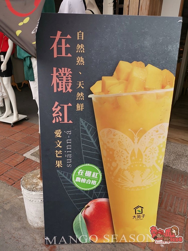 【台南飲料】大苑子推出在欉紅愛文迎客，全台南只有這間販售~