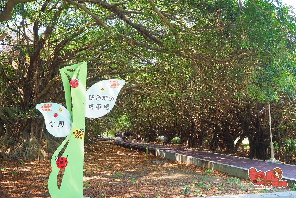 【台南景點】台南版龍貓森林，一窺那神秘營區的私藏景點：新營長勝營區