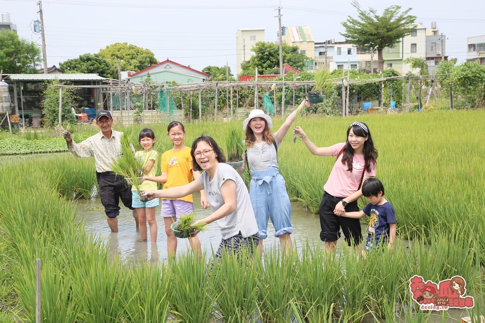 【台南旅遊】西港農村一日小旅行，最在地的玩法就讓在地人來帶路吧~