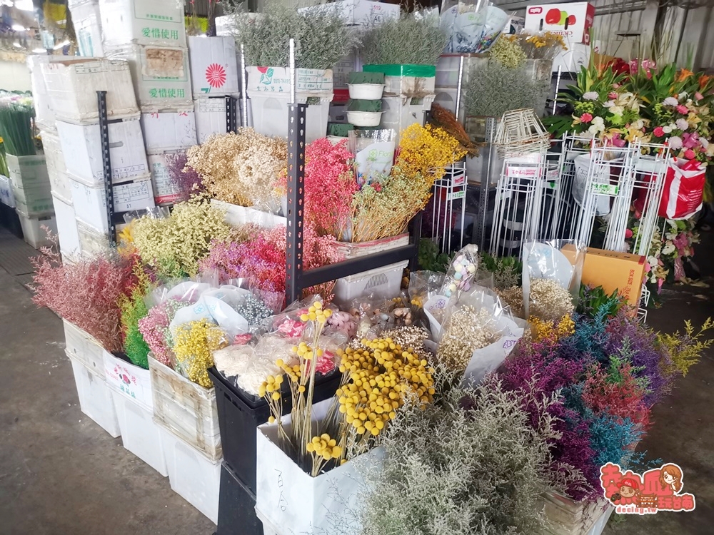 【台南批發】台南另類最美室內花海空間，台南買花就要來這最划算：台南花卉批發市場