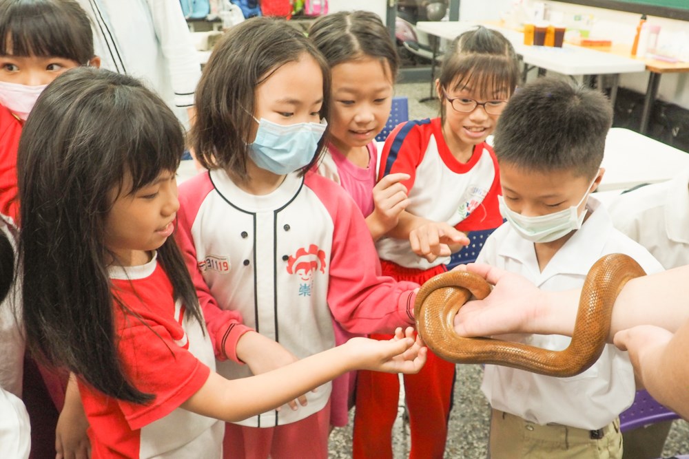 【台南親子課程】台南第一間兩棲爬蟲動物親子課程教室，孩子們的大自然老師：合拍文教