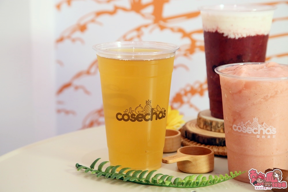 【台南飲料】南台灣首間「哥斯大黎加」水果冰沙！讓你喝出水果最不一樣的鮮滋味：豐收果飲Cosechas