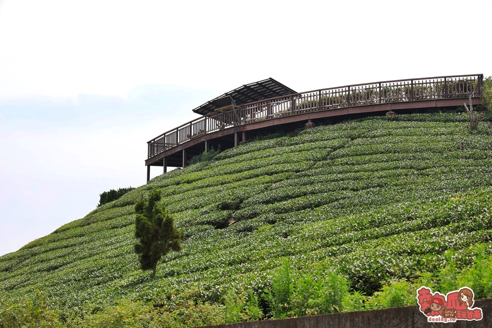 【嘉義景點】嘉義梅山上最美的景觀餐廳！180度無死角絕美景致，遠眺玉山的好去處：碧湖山觀光茶園