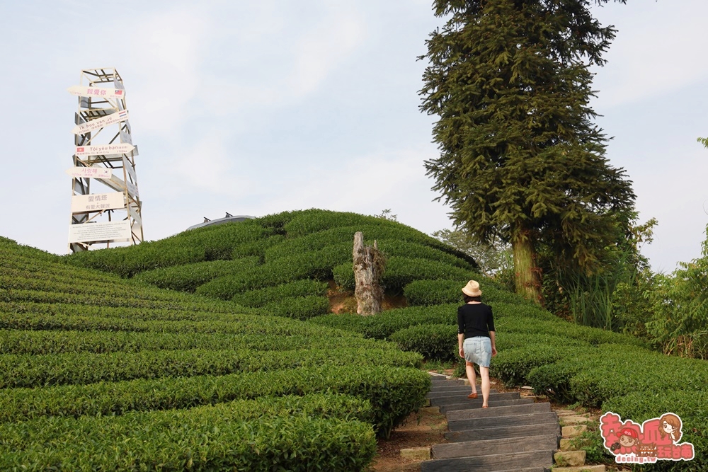 【嘉義景點】1314觀景台！嘉義梅山上可360度欣賞茶園風光的絕美點，御茶園的廣告也在這裡拍~