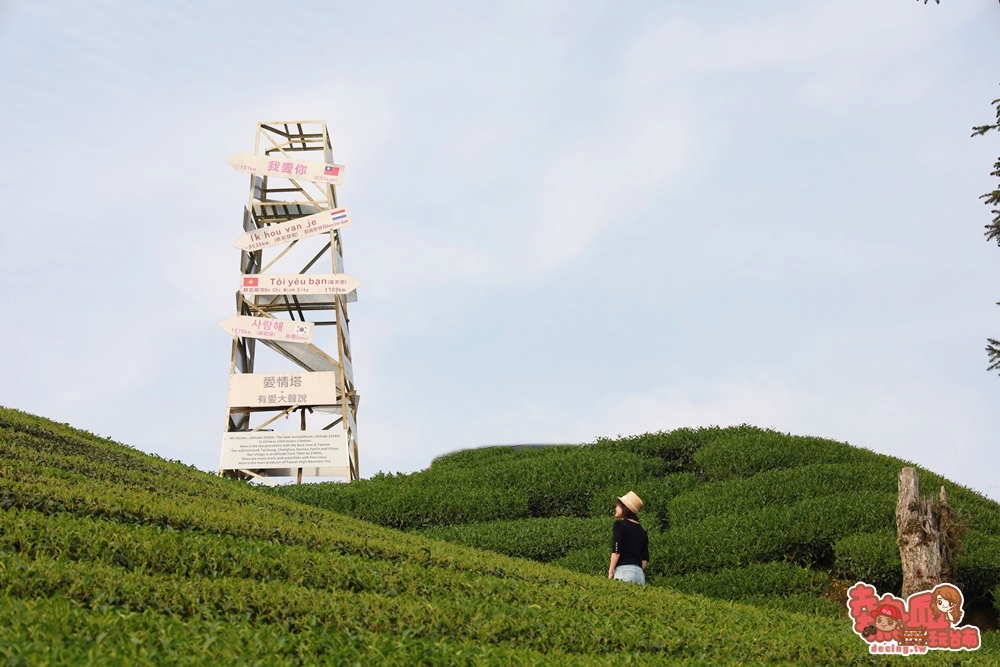 【嘉義景點】1314觀景台！嘉義梅山上可360度欣賞茶園風光的絕美點，御茶園的廣告也在這裡拍~