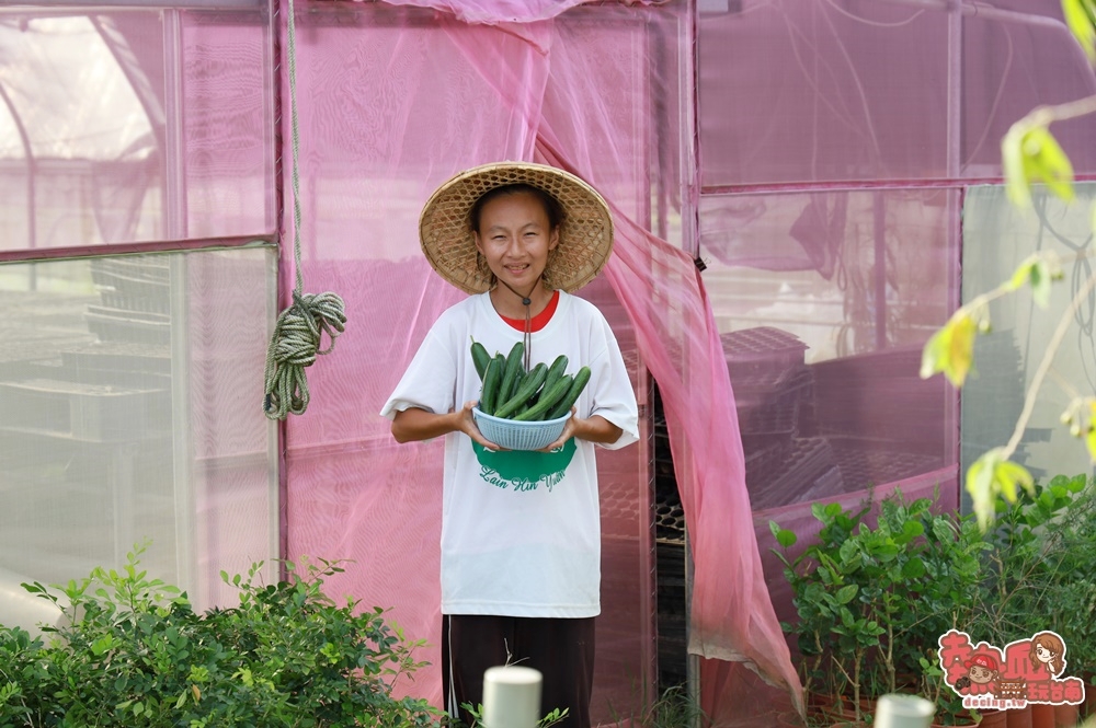 【台南公益】身心障礙者用汗水換來的「無毒米禮盒」和「無毒蔬菜」！給你送禮最另類的好選擇：蓮心園庇護農藝工場