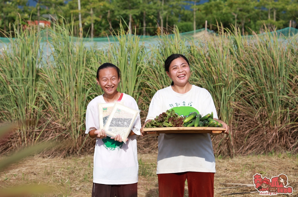 【台南公益】身心障礙者用汗水換來的「無毒米禮盒」和「無毒蔬菜」！給你送禮最另類的好選擇：蓮心園庇護農藝工場