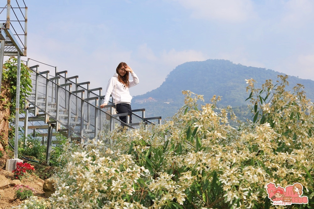 【台南景點】仙湖農場打造絕美天空步道，180度山景一次盡收眼底！