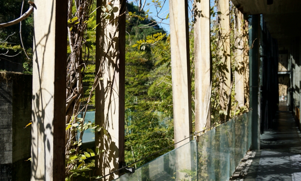 【苗栗旅遊】清水模打造的山中溫泉，看山望海放鬆的好去處：泰安觀止溫泉會館