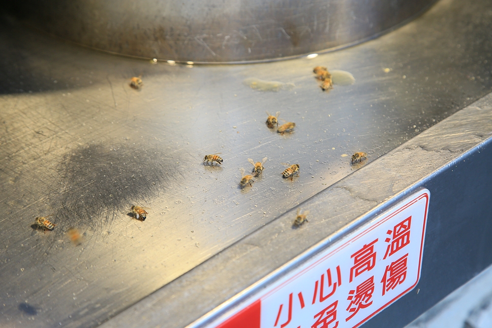 【嘉義冰店】咱台灣人的冰！連蜜蜂都聞香而來的蜜番薯，呷氣味消暑的好所在