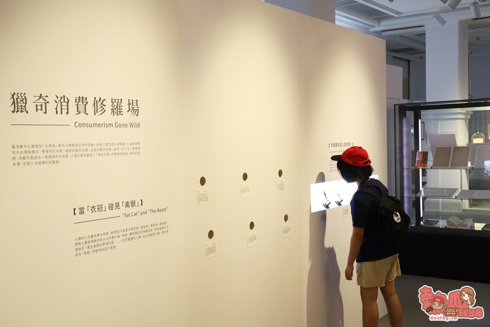 【台南展覽】台南首次以「動物」為主題的文學展！虛擬互動搭配動物紙雕，帶你看見不一樣的台灣文化：台灣動物文學特展