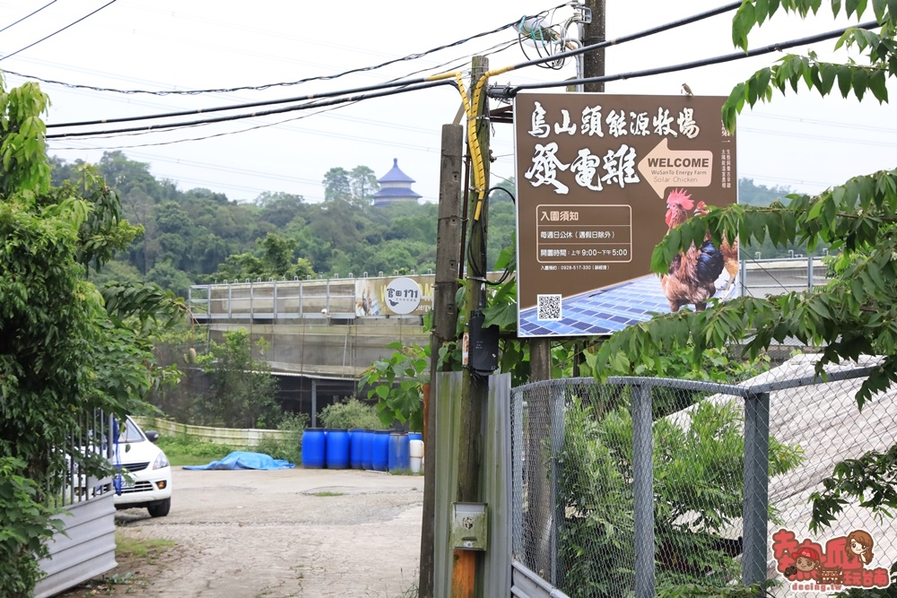 【台南旅遊】烏山頭能源牧場！全台唯一的「發電雞場」全預約制一起來體驗餵雞和撿雞蛋~