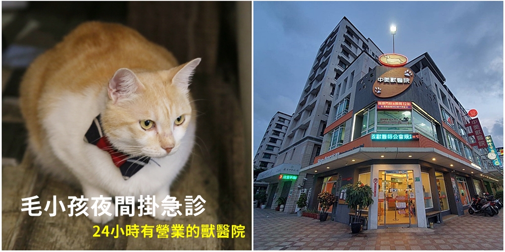 【寵物醫院】台南夜間急診動物醫院！毛小孩夜間掛急診，24小時有營業的獸醫院在這