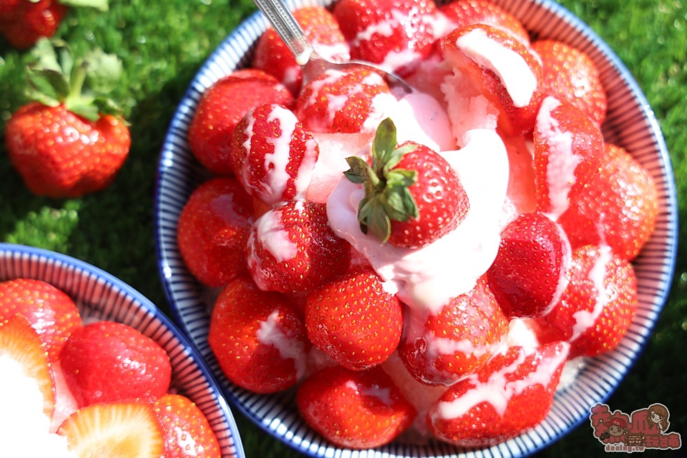【台南冰店】草莓風暴來襲！草莓奶蓋配古早味布丁蕭賀呷：南泉冰果室