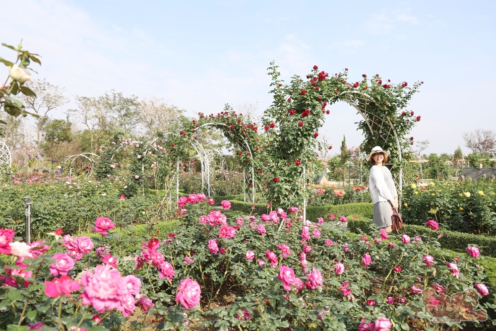 【台南景點】雅聞湖濱療癒森林：佔地千坪的玫瑰園免費參觀，南部版小人國在這裡~