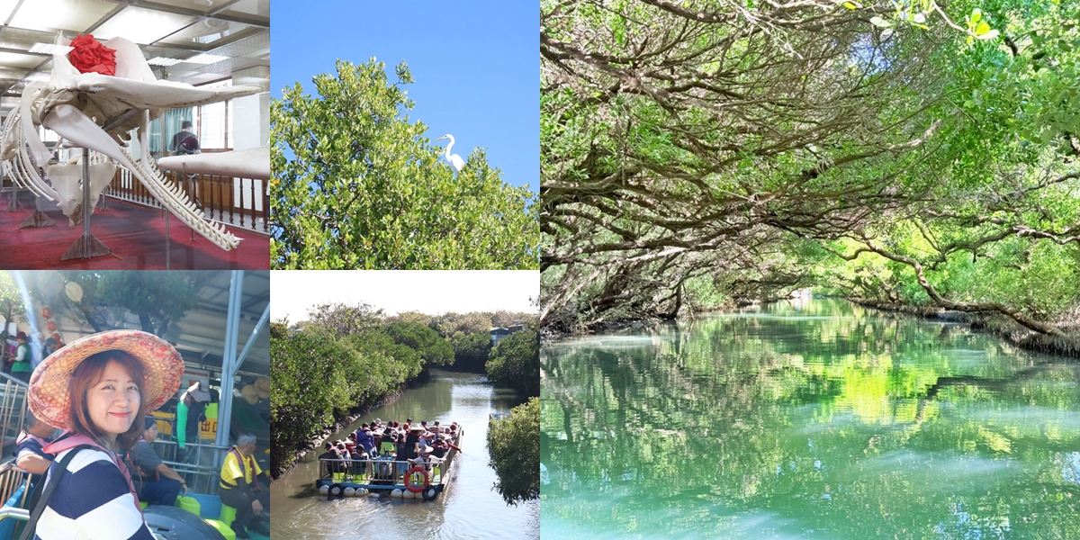 【台南景點】四草綠色隧道:絕美的台版亞馬遜河,一生一定要來一次的台南景點~