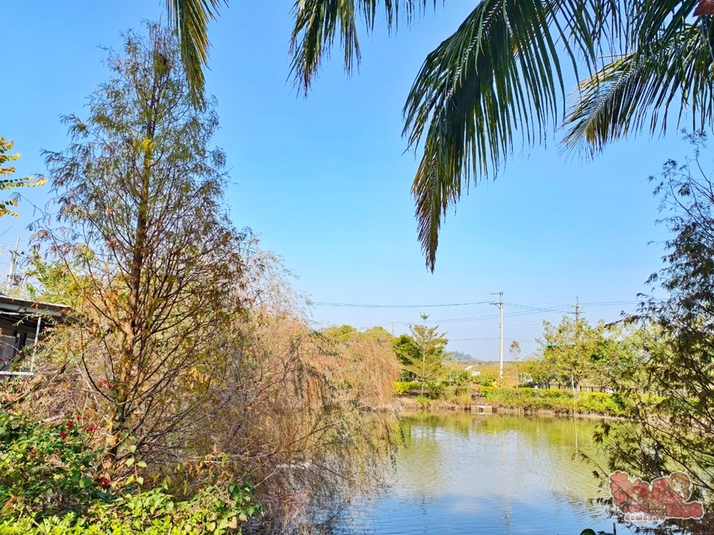 【台南美食】怡東農園餐廳:隱藏在山區農場內的神祕餐廳,必吃水晶雞,戶外田園卡拉OK只要10元就能歡唱~