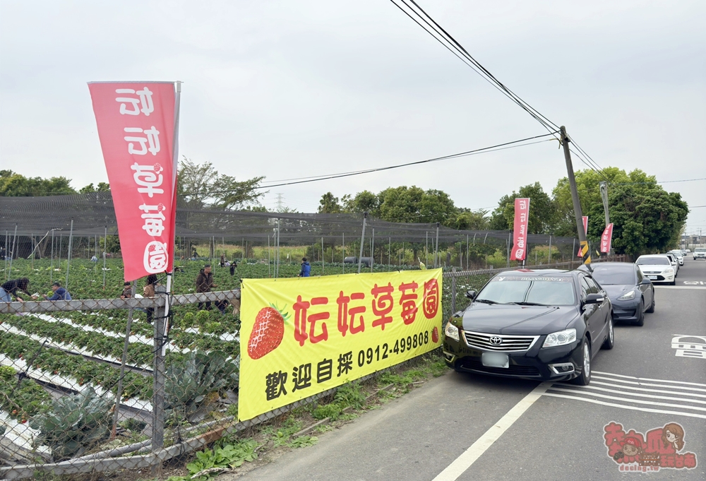 【台南景點】妘妘草莓園:無農藥歸仁草莓園,超巨大草莓,等級完全不輸大湖草莓,打卡還送免費草莓冰棒