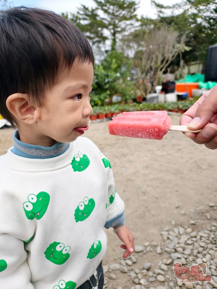 【台南景點】妘妘草莓園:無農藥歸仁草莓園,超巨大草莓,等級完全不輸大湖草莓,打卡還送免費草莓冰棒