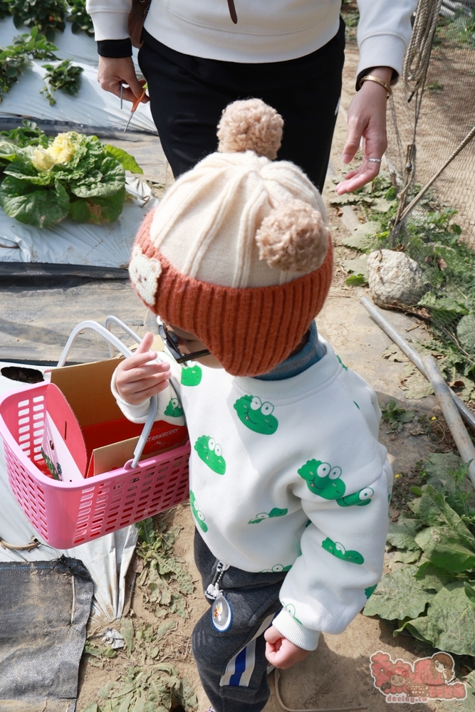 【台南景點】妘妘草莓園:無農藥歸仁草莓園,超巨大草莓,等級完全不輸大湖草莓,打卡還送免費草莓冰棒