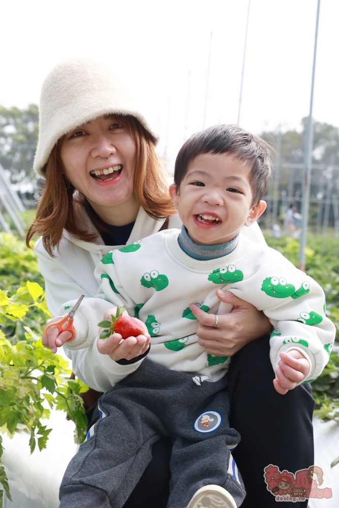 【台南景點】妘妘草莓園:無農藥歸仁草莓園,超巨大草莓,等級完全不輸大湖草莓,打卡還送免費草莓冰棒