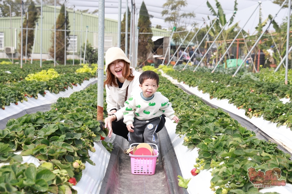 【台南景點】妘妘草莓園:無農藥歸仁草莓園,超巨大草莓,等級完全不輸大湖草莓,打卡還送免費草莓冰棒