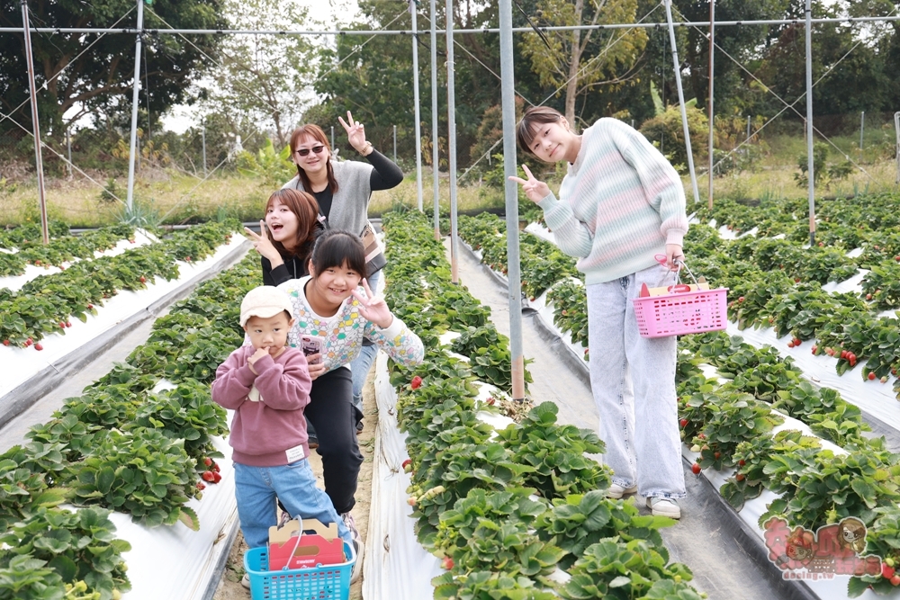 【台南景點】妘妘草莓園:無農藥歸仁草莓園,超巨大草莓,等級完全不輸大湖草莓,打卡還送免費草莓冰棒