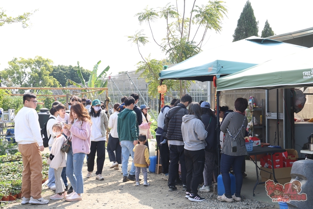 【台南景點】妘妘草莓園:無農藥歸仁草莓園,超巨大草莓,等級完全不輸大湖草莓,打卡還送免費草莓冰棒