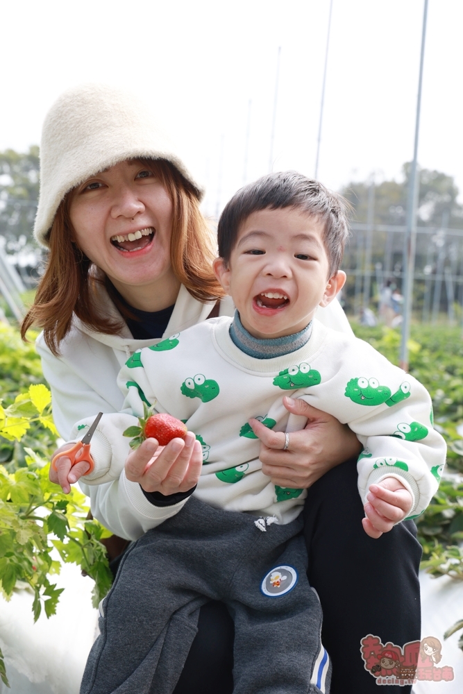 【台南景點】妘妘草莓園:無農藥歸仁草莓園,超巨大草莓,等級完全不輸大湖草莓,打卡還送免費草莓冰棒