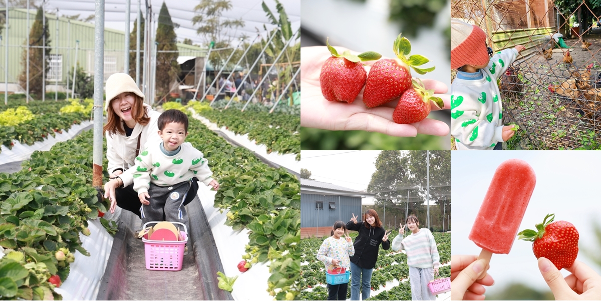 【台南景點】妘妘草莓園:無農藥歸仁草莓園,超巨大草莓,等級完全不輸大湖草莓,打卡還送免費草莓冰棒