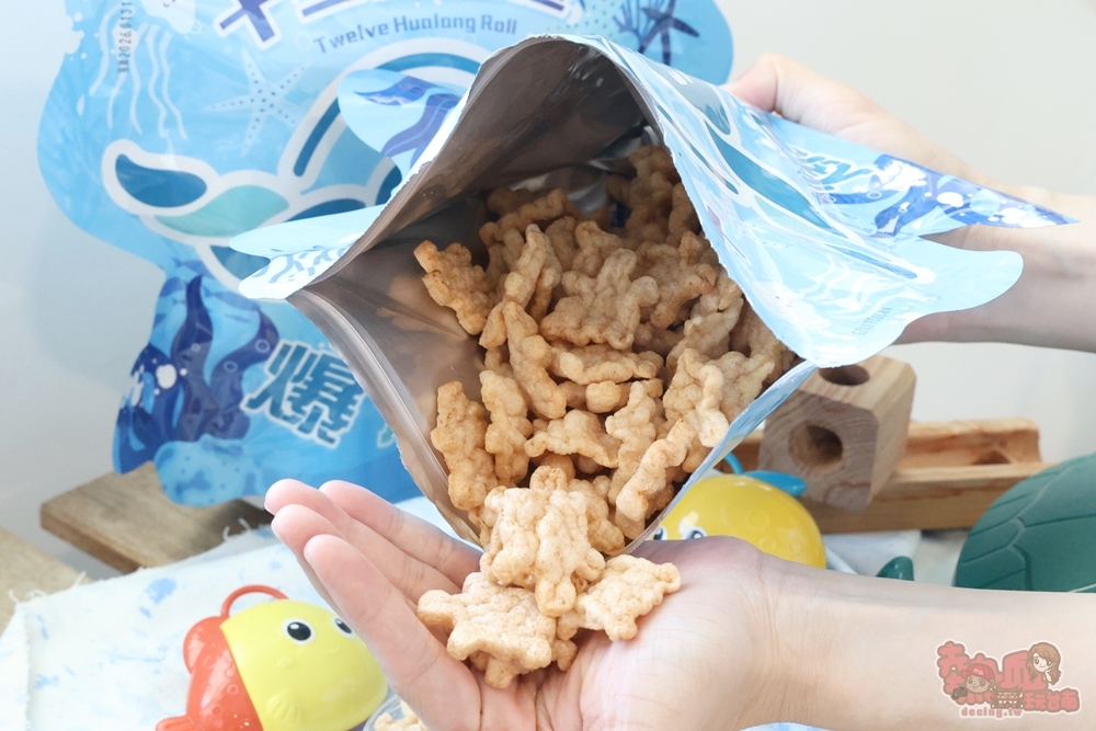 【台南快閃】超可愛的海龜造型餅乾快閃台南,預購限定,想吃真的別錯過~
