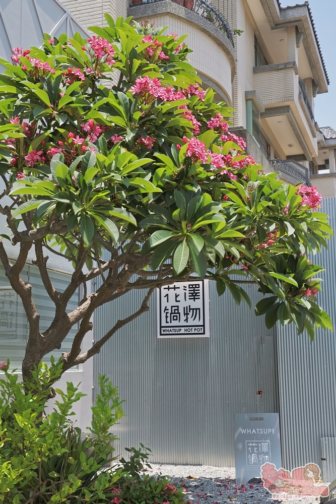 【台南火鍋】花澤鍋物:全台唯一拉麵石頭火鍋,韓系風格火鍋店,吃鍋還享蔬食/飲料/冰品吃到飽~