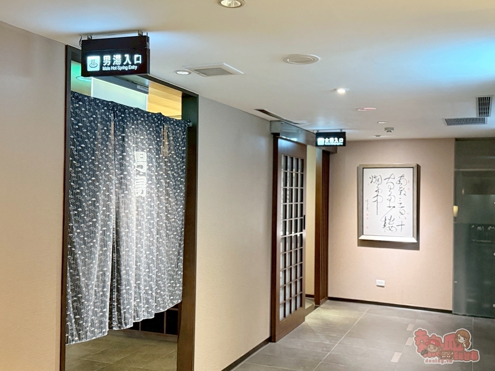 【新北住宿】大板根森林溫泉酒店:沉浸式的恐龍世界,爽泡觀景溫泉,親子渡假天堂,一站全搞定~