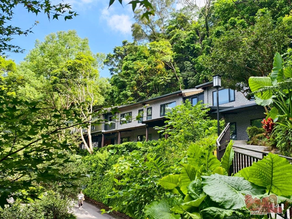 【新北住宿】大板根森林溫泉酒店:沉浸式的恐龍世界,爽泡觀景溫泉,親子渡假天堂,一站全搞定~