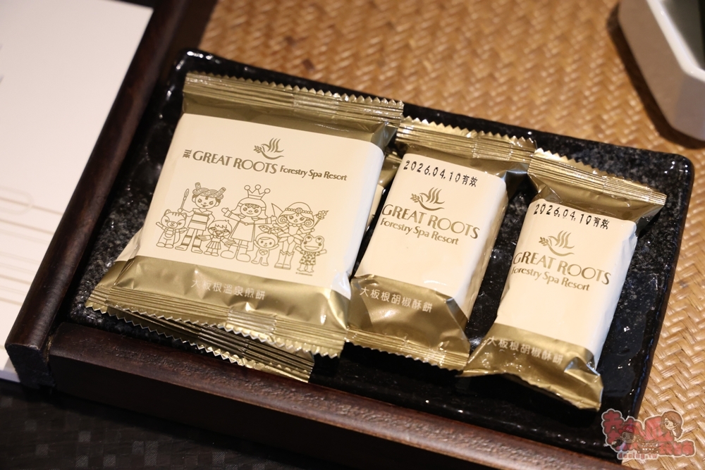 【新北住宿】大板根森林溫泉酒店:沉浸式的恐龍世界,爽泡觀景溫泉,親子渡假天堂,一站全搞定~