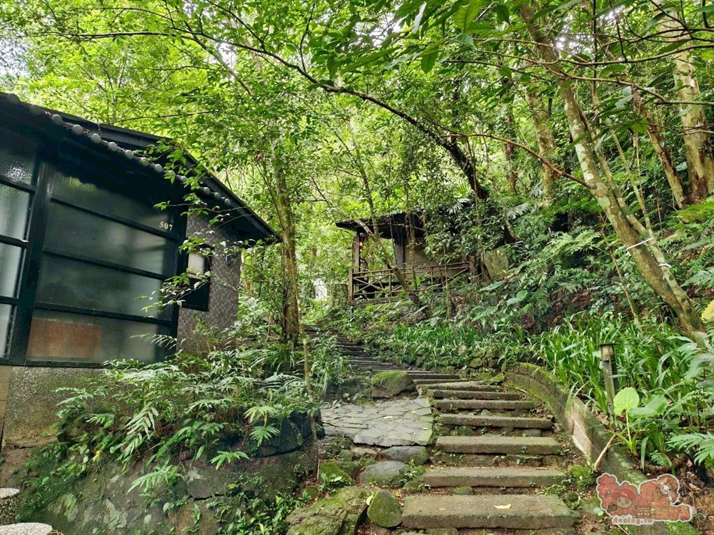 【新北住宿】大板根森林溫泉酒店:沉浸式的恐龍世界,爽泡觀景溫泉,親子渡假天堂,一站全搞定~