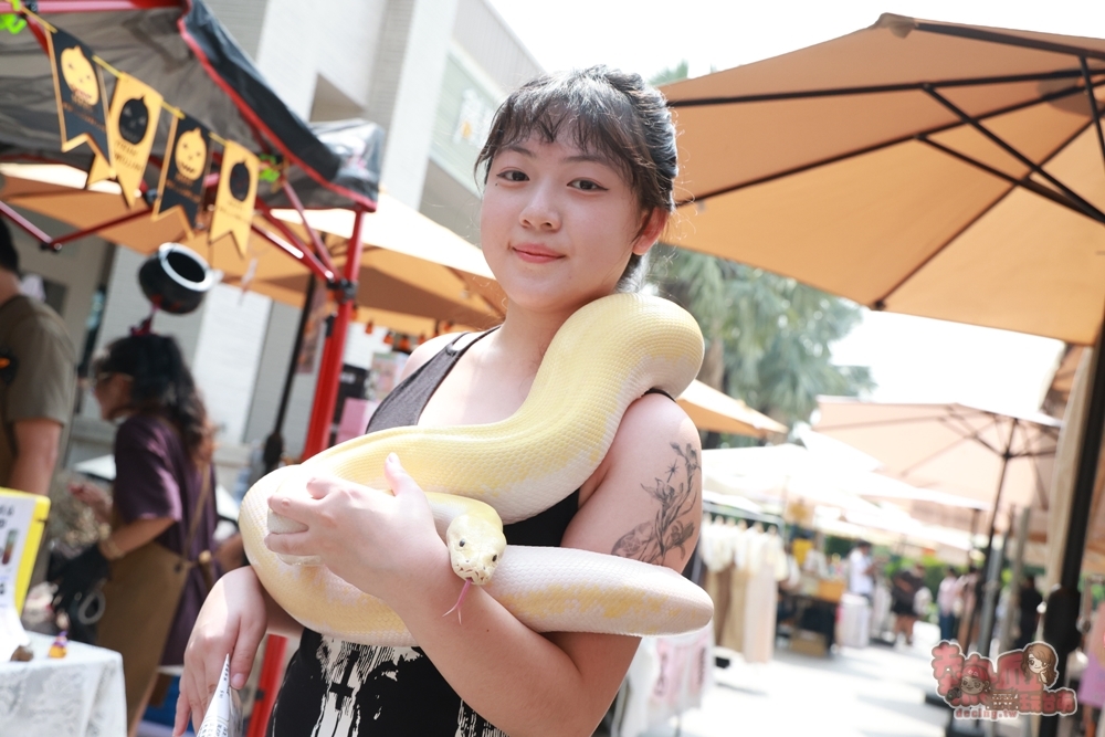 【台南活動】台南萬聖節派對x魔法奇幻市集：四米高巨型南瓜，萬聖節兒童變裝遊行，還有隨機出沒的無臉男~