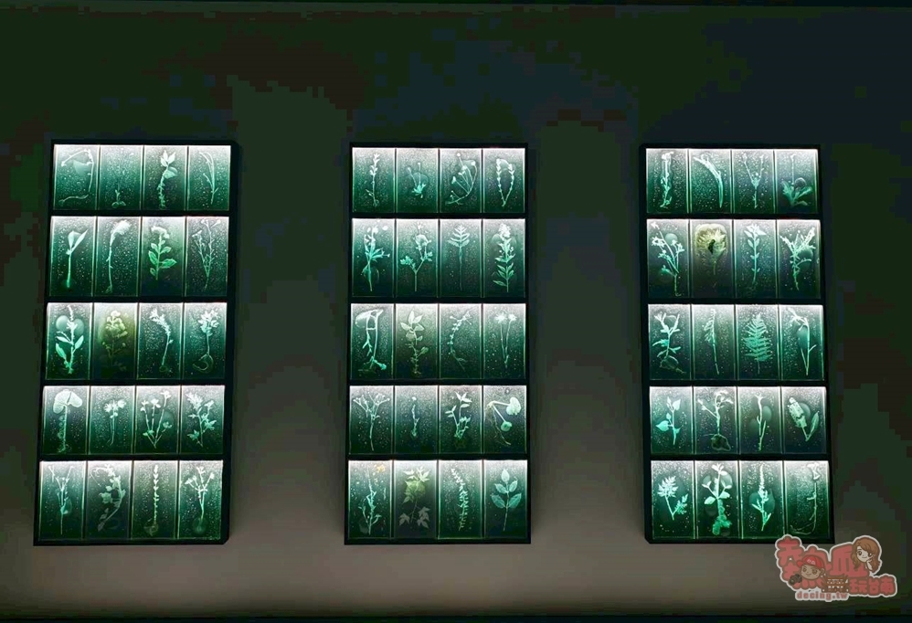 【台南展覽】南美館秋季大展:日本超現實感官體驗,另人毛骨凜然的「皮膚と內臓－自己、世界、時間」