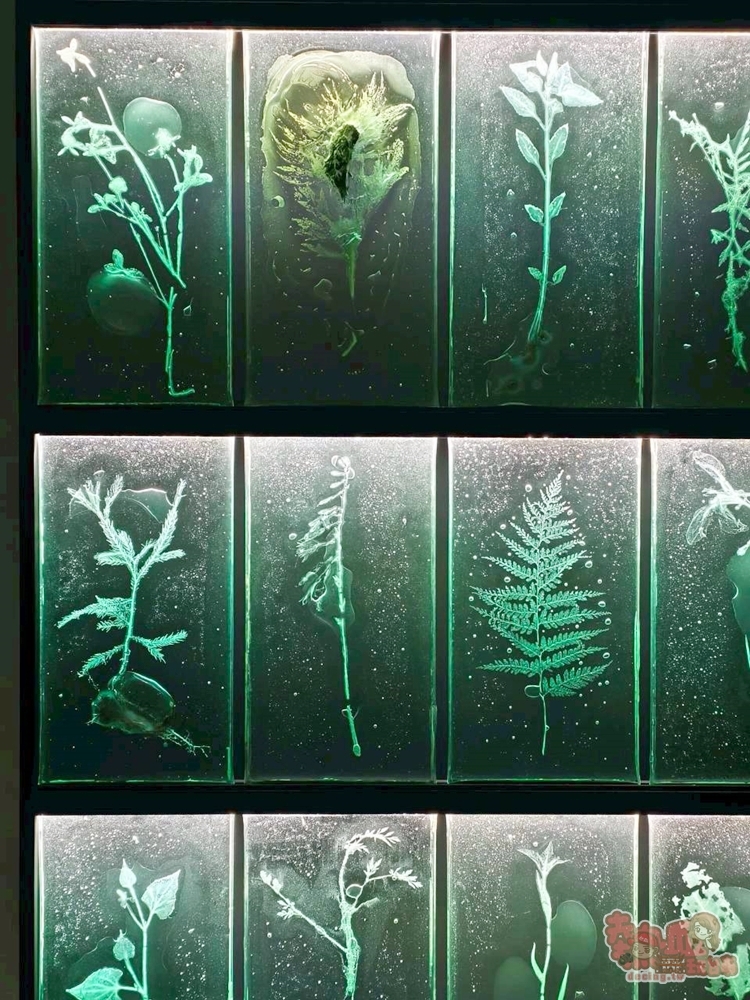 【台南展覽】南美館秋季大展:日本超現實感官體驗,另人毛骨凜然的「皮膚と內臓－自己、世界、時間」