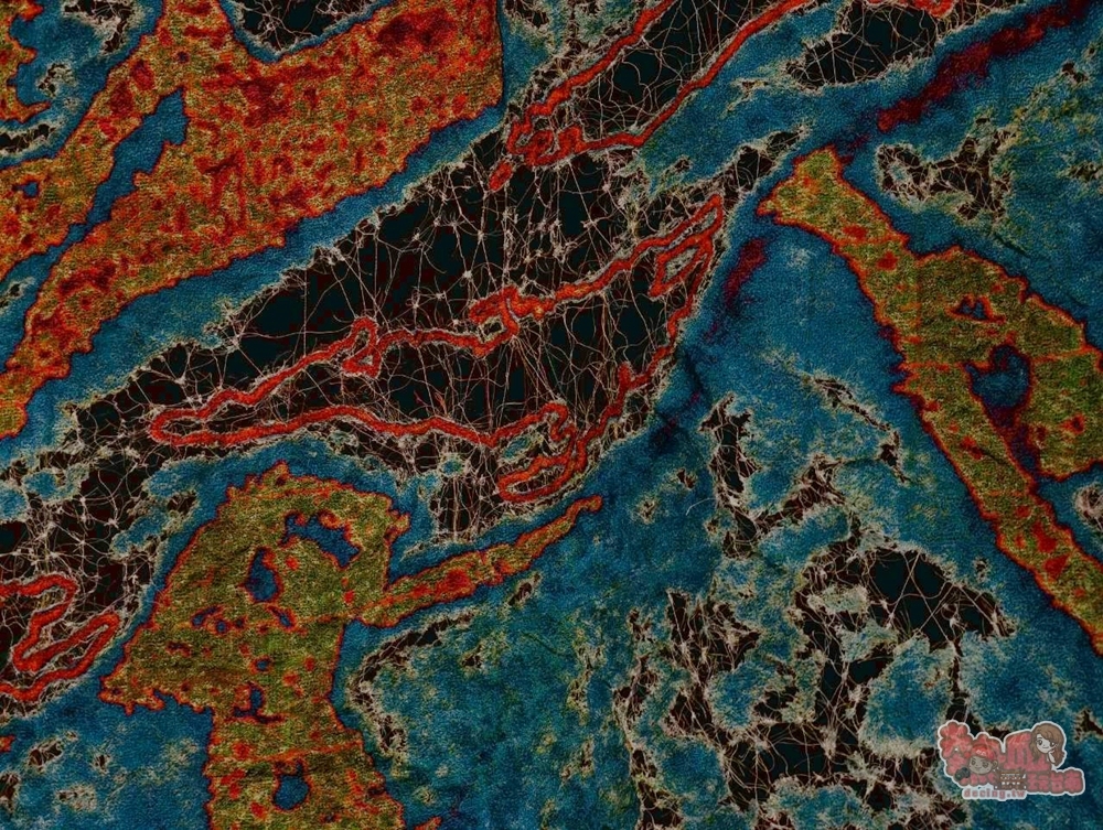 【台南展覽】南美館秋季大展:日本超現實感官體驗,另人毛骨凜然的「皮膚と內臓－自己、世界、時間」