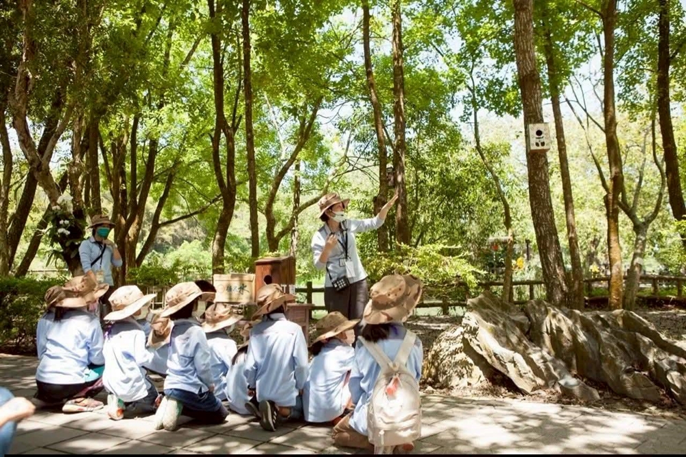 【台南活動】慢慢來教育市集！森林裡的兒童遊樂園，野餐派對、大地遊戲、獨木舟，還有小火車等你來體驗~