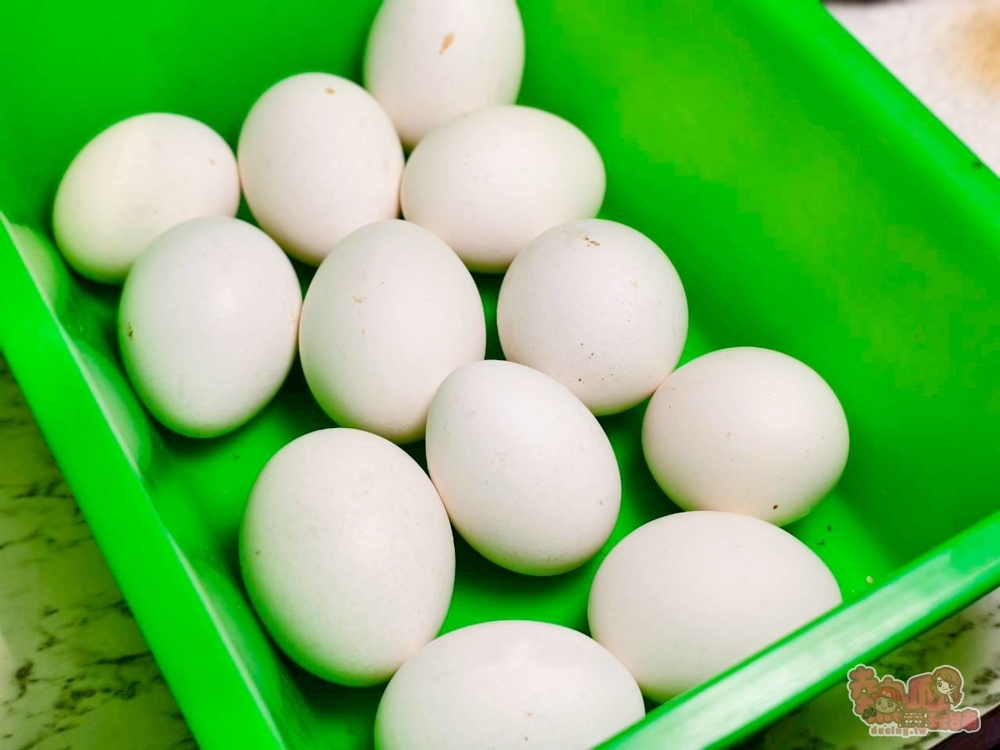 【台南火鍋】彭康海翅鼎:永康平價海鮮火鍋店,海鮮食材選擇超多,還有少見手工魚翅丸~ 【台南火鍋】彭康海翅鼎:永康平價海鮮火鍋店,海鮮食材選擇超多,還有少見手工魚翅丸~