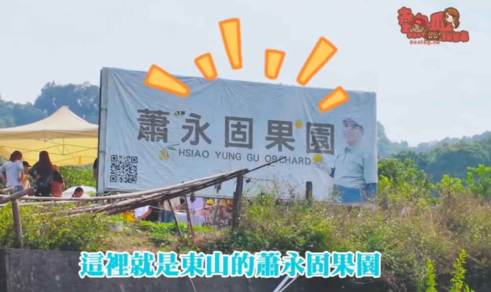 【台南景點】蕭永固果園:東山有機柳丁農場,冬季限定DIY採柳丁,親手採果好玩又好吃~ 【台南景點】蕭永固果園:東山有機柳丁農場,冬季限定DIY採柳丁,親手採果好玩又好吃~